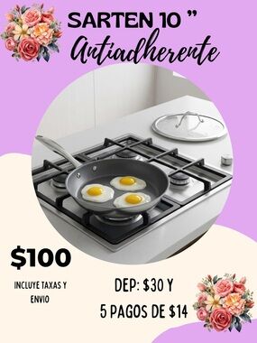 Princess House Nonstick Frying Pan - Black and Silver